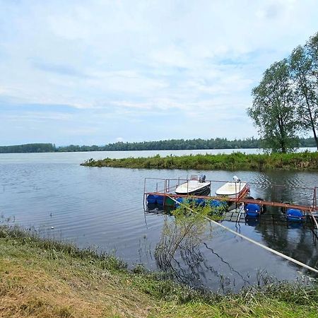 River View - Danube Celarevo Dış mekan fotoğraf